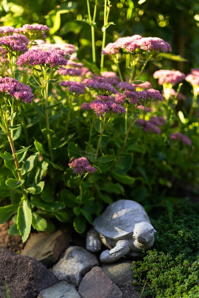 Vibrant garden with purple flowers and a turtle statue, ideal for nature themes.